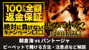 朝倉海 vs パントージャ サムネイル ビーベット