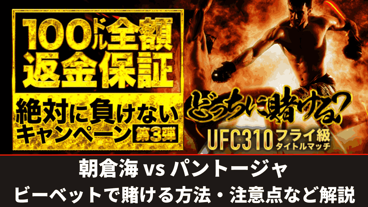 朝倉海 vs パントージャ サムネイル ビーベット
