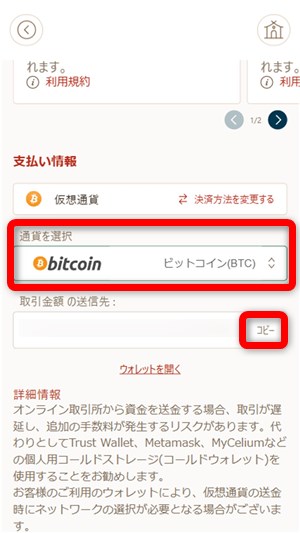 オンラインカジノ 仮想通貨 入金画面